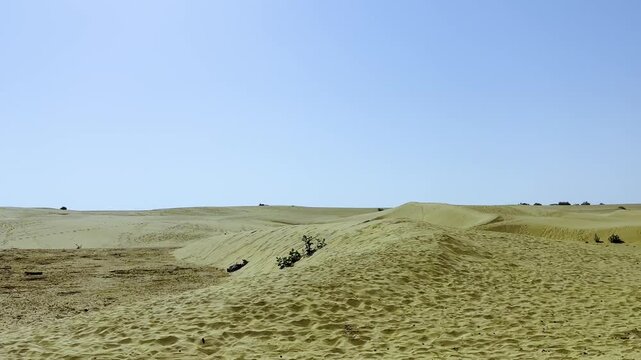 Safari in desert dunes Jaisalmer, Rajasthan