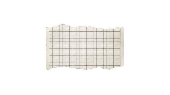 Torn piece of graph paper isolated on transparent background