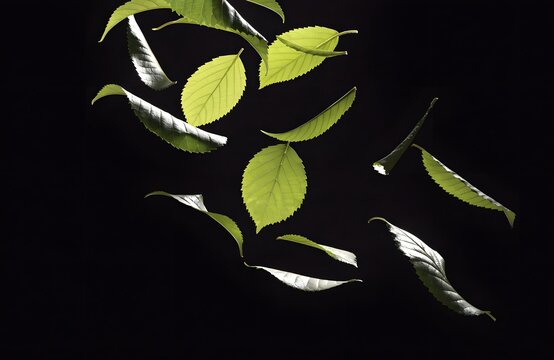Floating green leaves falling against a solid black background