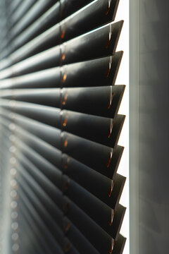 Close-Up of Dark Horizontal Window Blinds with Soft Natural Light and Warm Shadows