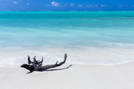 Plage de sable blanc et lagon tropical &eacute;meraude, ciel bleu, avec morceau de bois au bord
