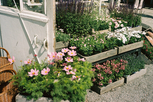 PLant display in Stockholm