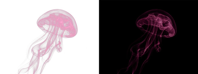 Abstract pink jellyfish shape made of smoke isolated on transparent background © Fazla Rabbi