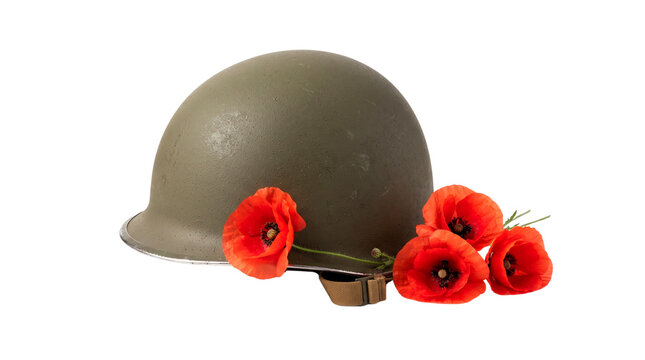 Military Helmet with Red Poppy Flowers, No Background, Transparent PNG