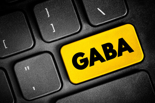 GABA - chief inhibitory neurotransmitter in the developmentally mature mammalian central nervous system, text button on keyboard, concept background
