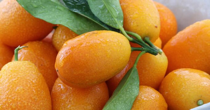 Kumquats, fresh, white plate, Taiwan, still life