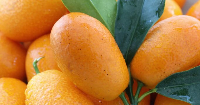 Kumquats, fresh, white plate, Taiwan, still life