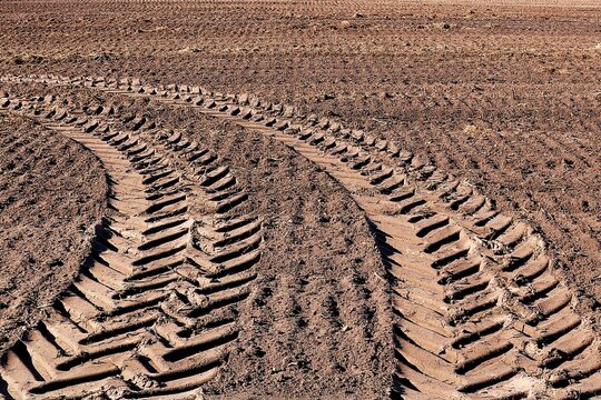 Deep tire tracks from a tractor in a farm field. Agricultural concept.