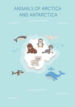 Cute cartoon Arctic animals collection for kids. Adorable polar wildlife characters isolated on white background, perfect for educational resources, children&rsquo;s books, 