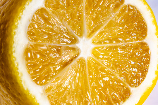 Lemon slice macro shot showing pulp vesicle texture and segment membrane