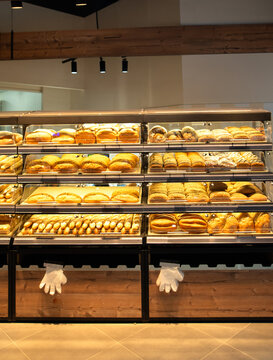 Assorted Fresh Pastries, Croissants, and Buns on Multi-Tier Bakery Shelves