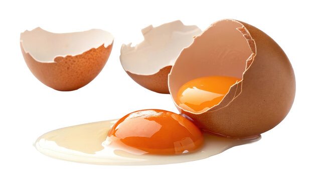 Broken eggshell fragments surround a raw egg yolk and white on a white background fractured cracked eggwhite albumen breakfast