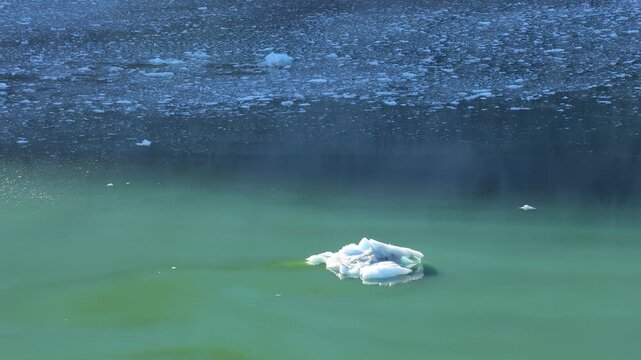 Ice chunk drifts on green glacier water near an Alaska ice field in daylight