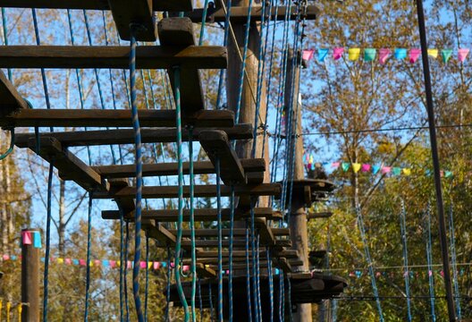 Wooden obstacles suspended on blue ropes in an outdoor adventure park. Natural greenery, rustic textures and depth of field illustrate active recreation, outdoor challenges and adventure tourism.