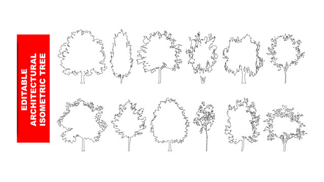 Editable architectural isometric tree vector graphic asset featuring black outline plant symbols for landscape design plans, blueprints, and urban planning layouts