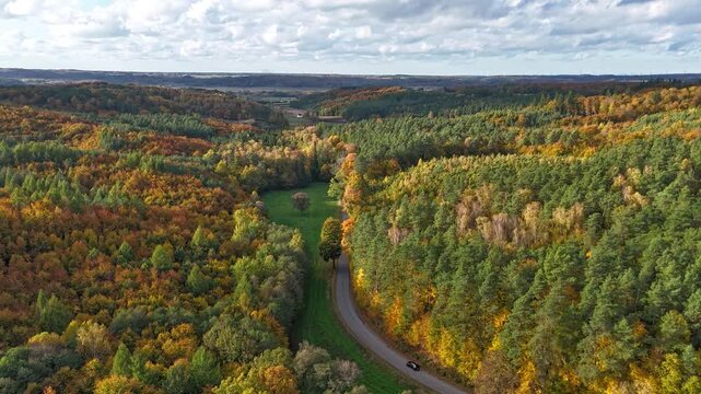 Drone camera capturing cars moving along a winding road through a dense colorful forest