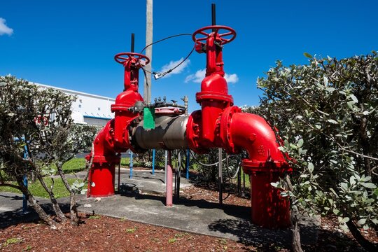 Outdoor fire main backflow preventer assembly with large red gate valves