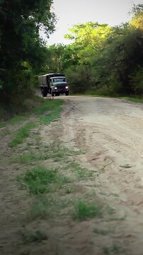 Military Trucks Driving On Rural Dirt Road Surrounded By Forest - Vertical 4K