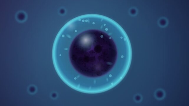 Microscopic view of an embryonic stem cell on a blue background. 4K video
