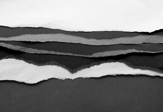 Torn pieces of paper