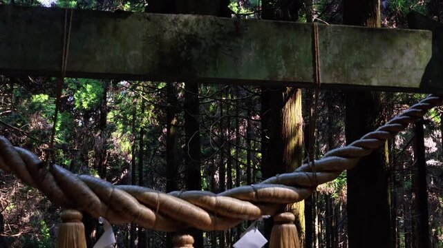 苔むした阿蘇の上色見熊野座神社