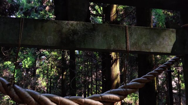 苔むした阿蘇の上色見熊野座神社