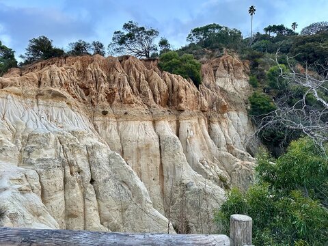 Wide landscape view of deeply eroded sandstone cliff formations and native vegetation at Annie Canyon in Solana Beach, California.