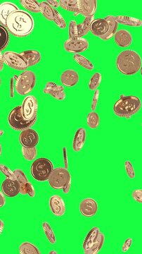 Financial Prosperity Concept. Animating Golden Dollar Coins Falling Across A Green Screen Chroma Key Background, Symbolizing Wealth, Profit, Revenue And Investment Growth With Alpha Matte
