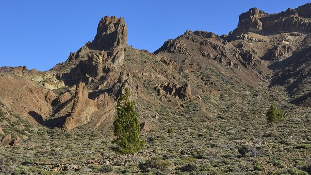 Rugged mountain landscape with sparse vegetation under clear skies, Teide, Parque Nacional del Teide, Teide National Park, volcano, volcanism, UNESCO World Heritage Site, Tenerife, Canary Islands, Spain