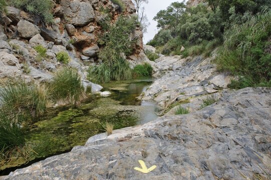 Abundance of water in Quiver Tree Canyon, Naukluft Mountains, Namibia, Africa