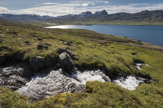 Stream, Borgarfj&ouml;r&eth;ur, Iceland
