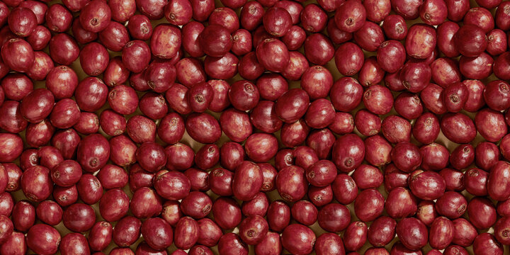 Red coffee cherry fruit texture seamless, tileable surface for graphic element backdrop banner background