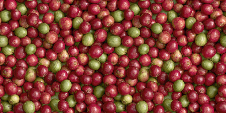 Aged coffee cherry fruit texture seamless, tileable surface for graphic element backdrop banner background