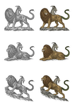 Classical chimera studies. Lion, goat, snake. Low rock standing, reclining, sloping plinth climbing. Tawny fur, chestnut mane, ivory goat, olive scales. Engraving, monochrome color vector.