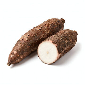 Organic cassava root whole and cut isolated on white background