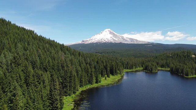 Forest and Mt Hood - Trillium Lake - Oregon