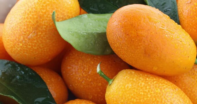 Kumquats, fresh, white plate, Taiwan, still life