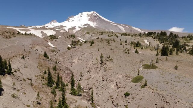 Trail to Mt Hood - Oregon