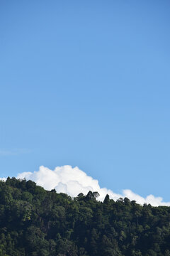 Green tropical forest hill with white cumulus cloud rising behind ridge under clear blue sky, copy space
