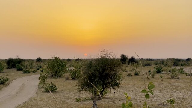 Desert landscape during vibrant Sunset in DNP Rajasthan