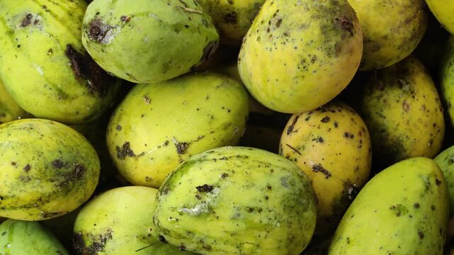A close up top view of a pile of fresh yellow and green mangoes fruit