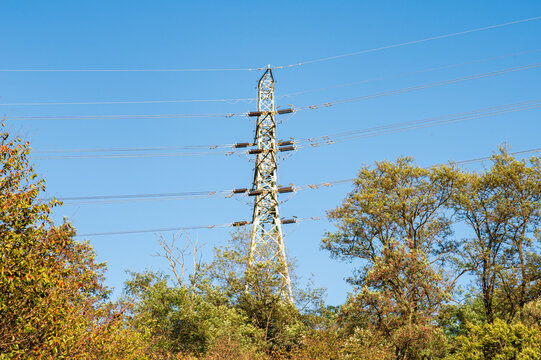 파란 하늘 아래 가을 나무들 위로 솟은 고압 송전탑과 송전선(High voltage electricity pylon and power lines over autumn trees under blue sky in Korea.)