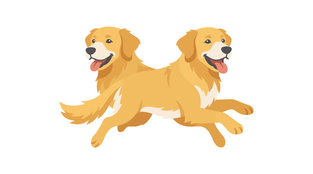 Vector illustration of a two-headed golden retriever dog leaping horizontally. Friendly mythological creature depicted as a happy domestic pet with golden fur on a white background.
