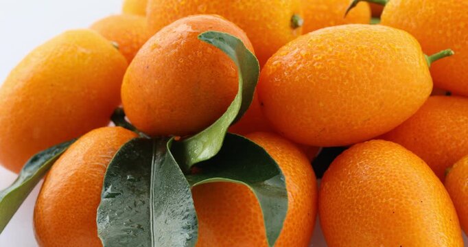 Kumquats, fresh, white plate, Taiwan, still life
