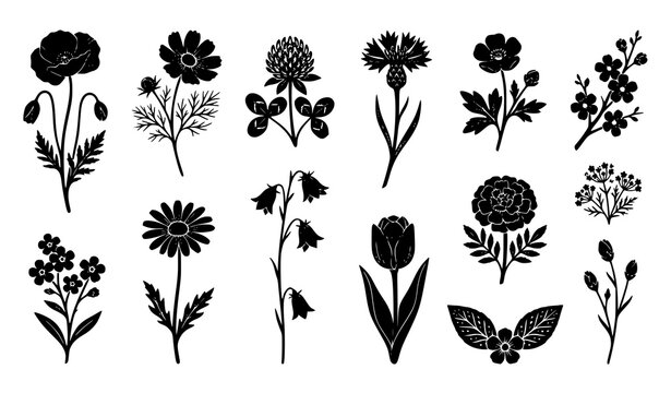 Black Wildflower and Botanical Silhouette Vector Icon Collection