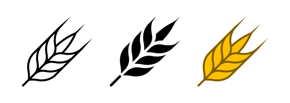 Wheat icons. Grain of wheat with ear, vector symbol