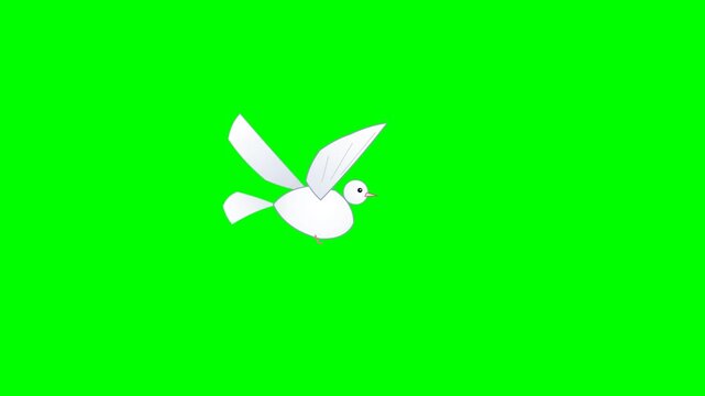 Graceful pure white dove pigeon flying in place with realistic feather wing flapping animation against chroma key green screen, 4K 60fps 8s loop.