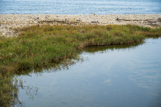 Scenic estuary boundary where calm river water meets a rocky gravel shore and blue sea in Sokcho-si South Korea.