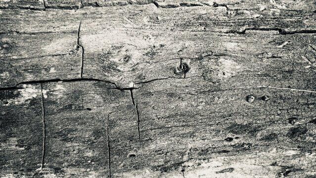 weathered grey wood texture with deep cracks and natural grain for rustic background design and abstract surface concepts.