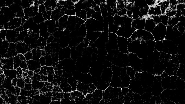 Black Cracked Abstract Texture with White Fracture Lines